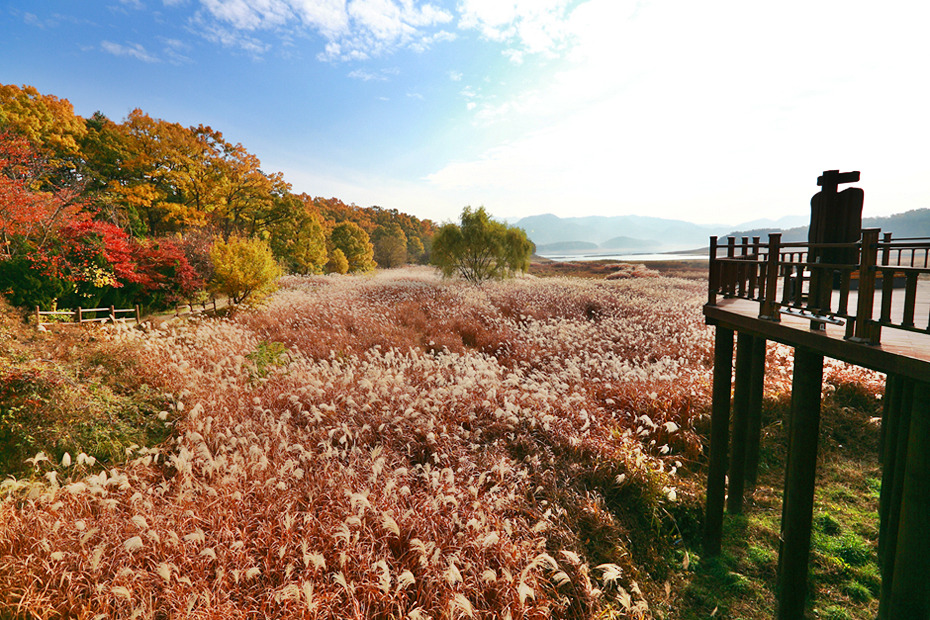 습지보호구역