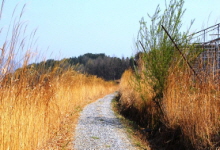 5구간