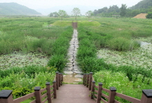 19구간