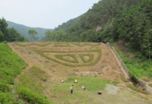 20구간