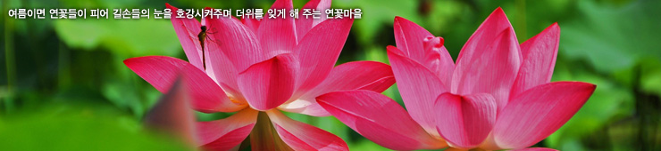 4구간(호반낭만길)