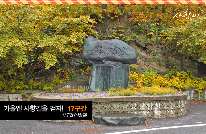 가을엔 사향길을 걷자!
